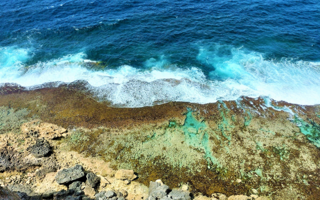 things-to-do-on-eyre-peninsula