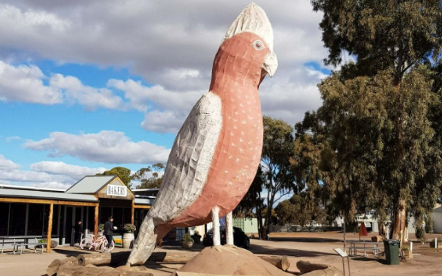 australias-big-things-big-galah