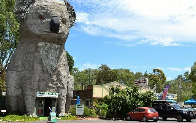australias-big-things-big-koala