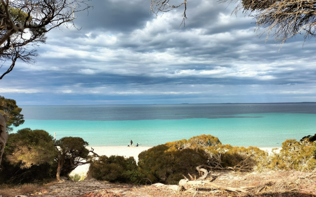 things-to-do-on-eyre-peninsula