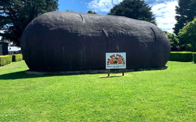the big potato nsw
