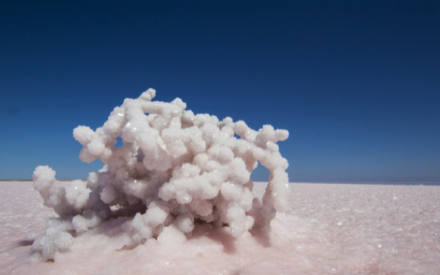 only-in-australia-lake-eyre