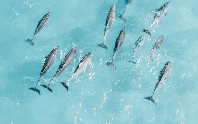 things-to-do-on-eyre-peninsula
