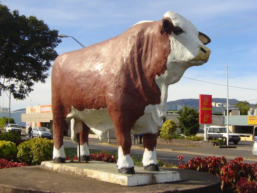 australias-big-things-rockhampton