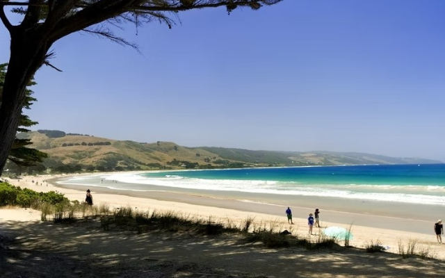 australias-must-do-road-trips