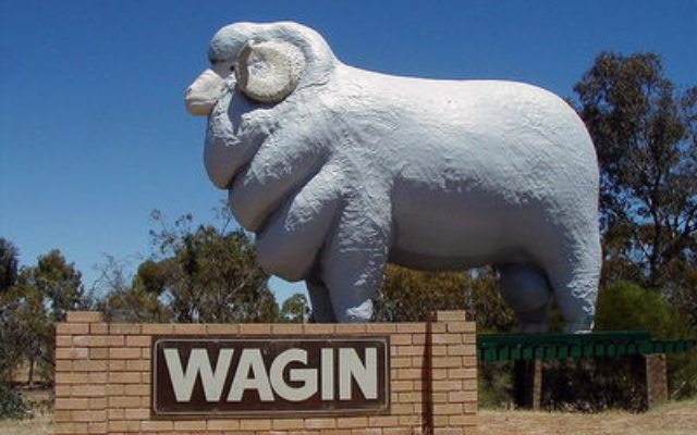 Ram Wagin WA