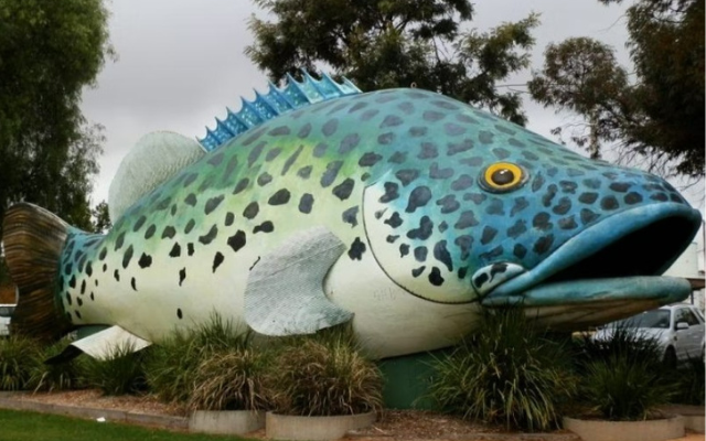 australias-big-things-murray-cod