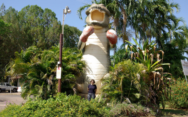 the big boxing croc