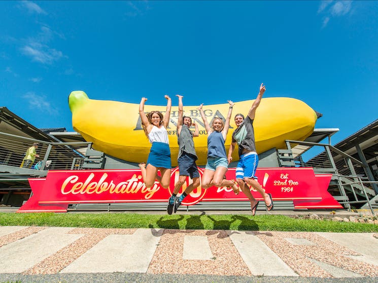 australias-big-things-big-banana