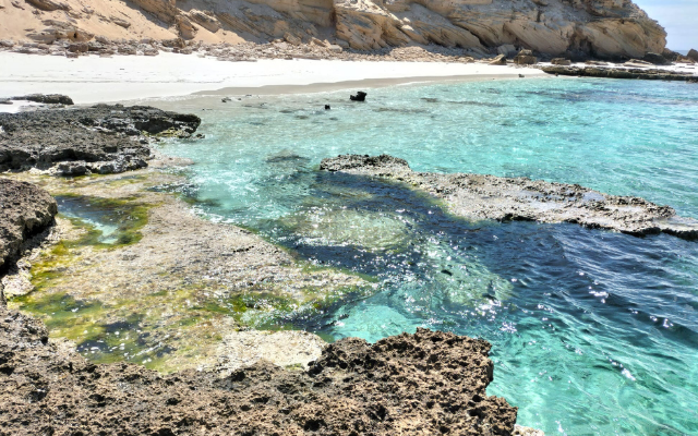 things-to-do-on-eyre-peninsula