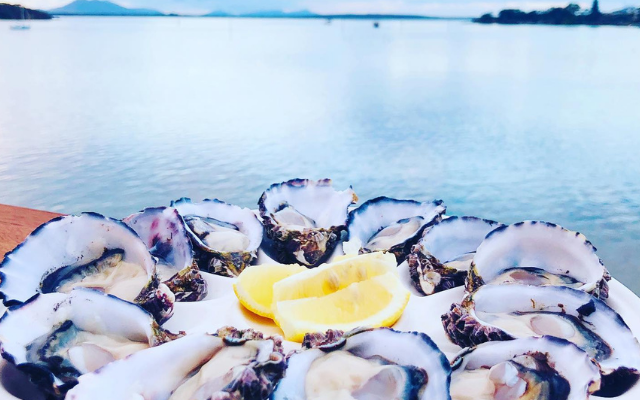 things-to-do-on-eyre-peninsula