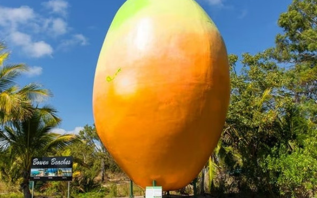 australias-big-things-mango