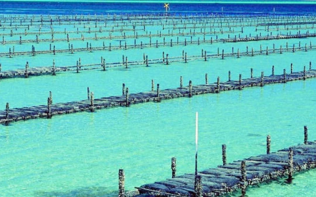 things-to-do-on-eyre-peninsula